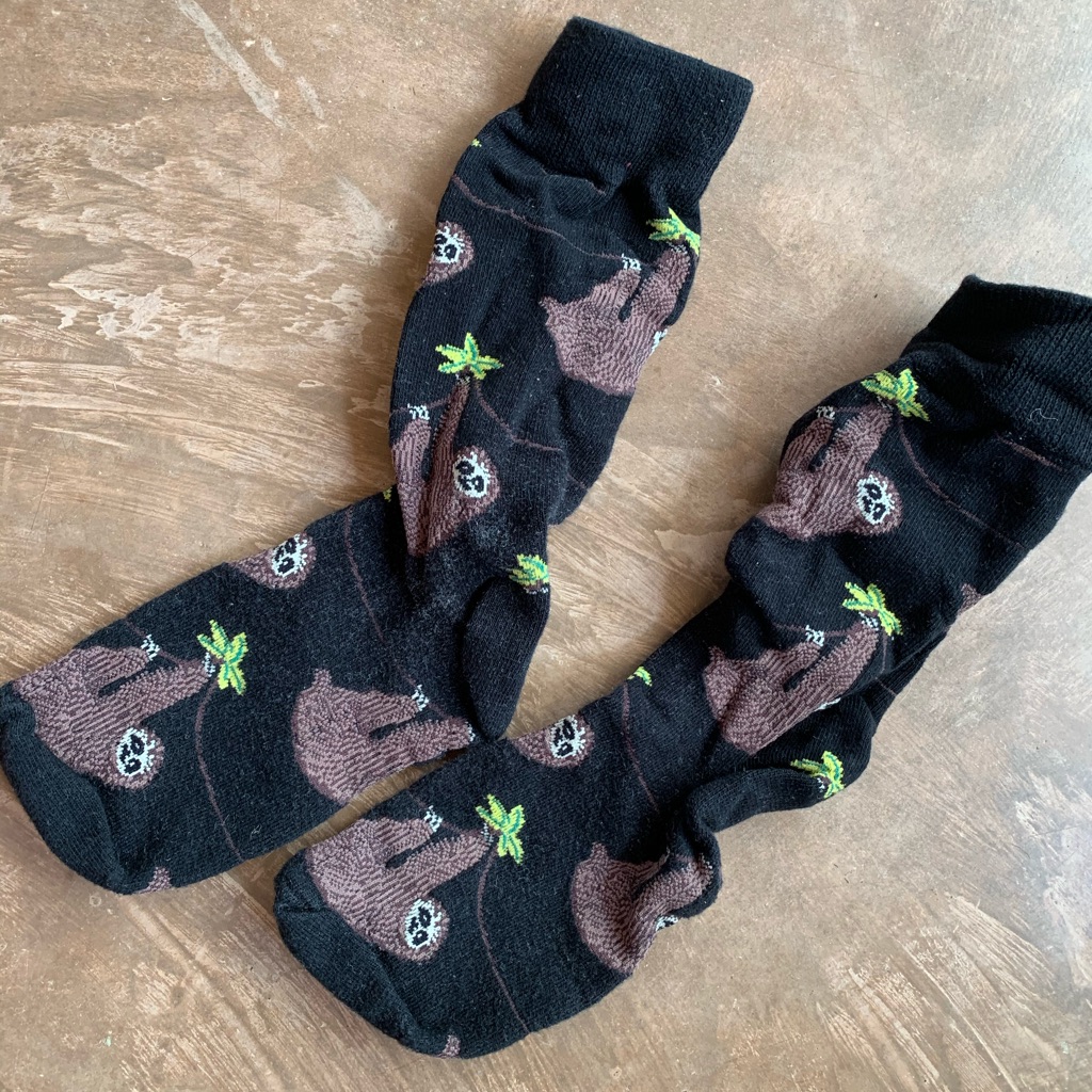 Sloth Socks